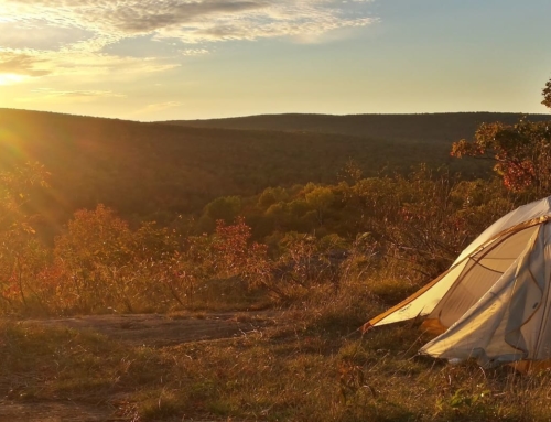 Ai tempi di Shakespeare